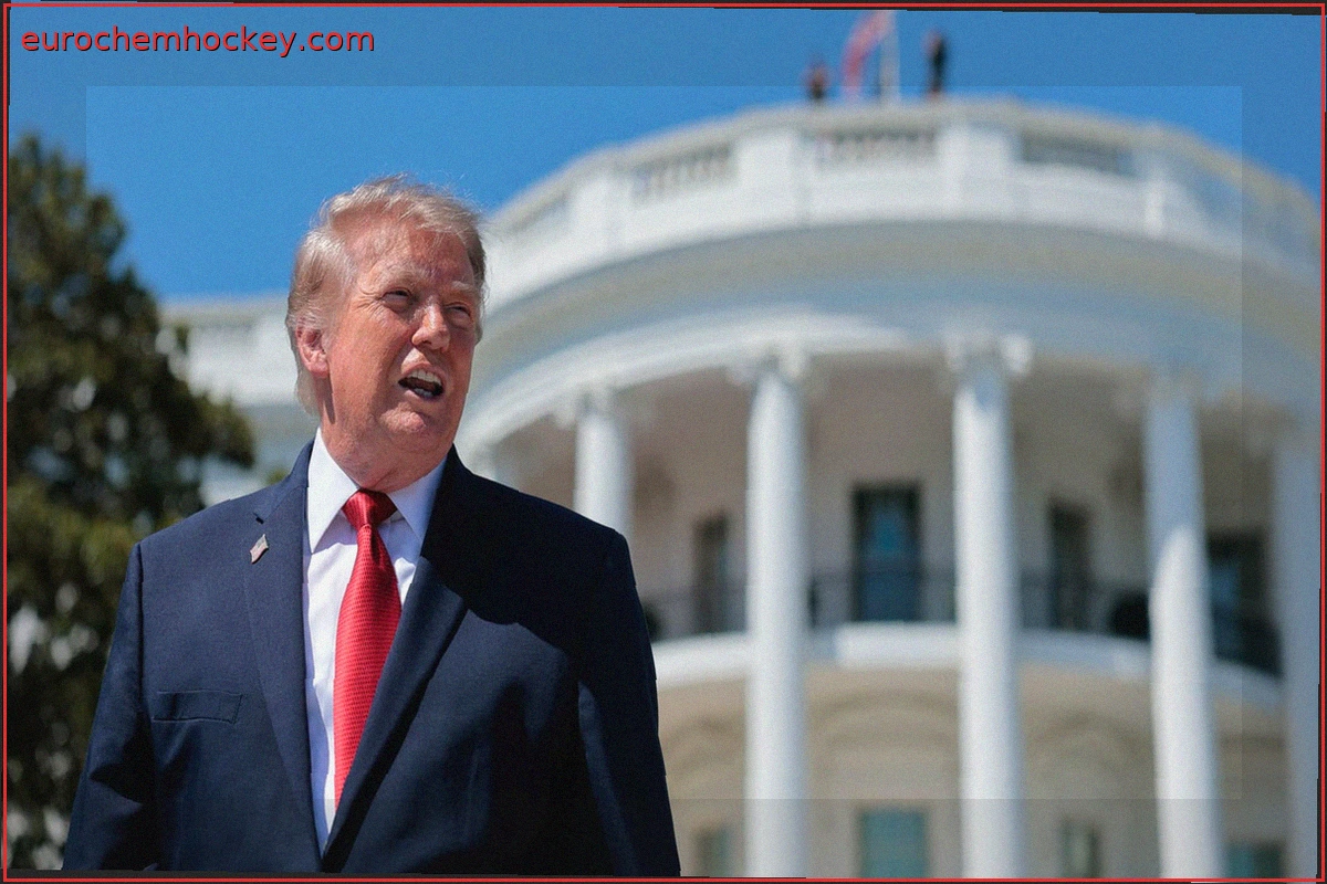 Trump's June Portfolio: Selling Meta, Buying Berkshire Hathaway Amidst Broad Realignments