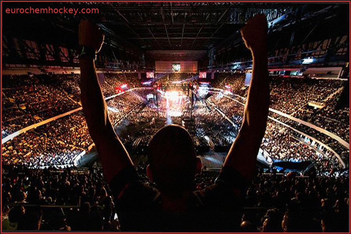 How MMA Fans Are Embracing Online Entertainment Today