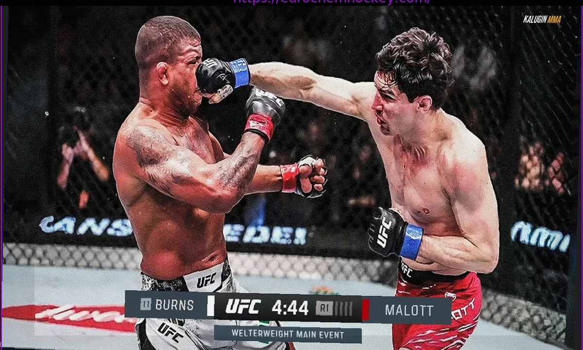 UFC Winnipeg Weigh-In Results and Video: Burns vs. Malott